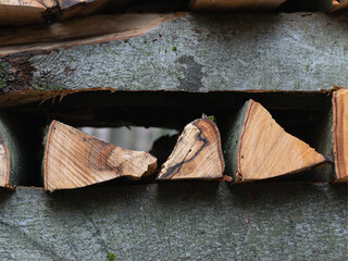 Geschnittenes, gestappeltes Kaminholz Buche im Wald, Regenwetter