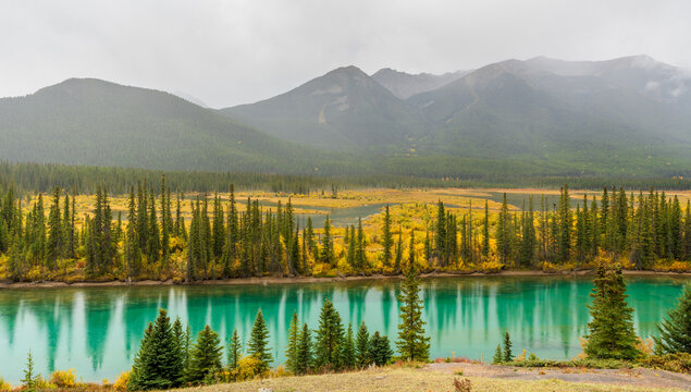 Backswamp Viewpoint. Bow River in fall foliage season, mountains in the background. Banff National Park, Canadian Rockies, Alberta, Canada.