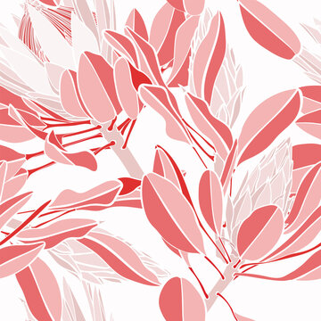 Vintage red african seamless pattern. Tropical flowers background. Banksia, protea line illustration.