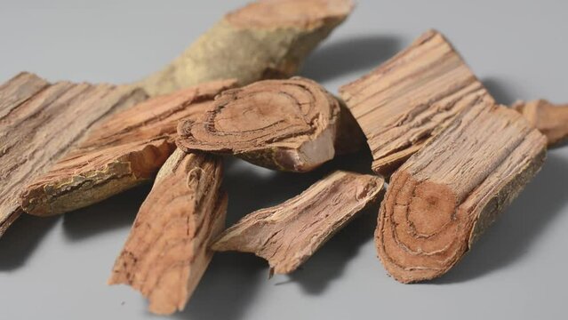 pieces of kothala himbutu bark wood, herb used widely in the ayurvedic medicine to treat diabetes and obesity, dried woody traditional medicine native to sri lanka on grey background