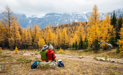 Tourists hiking in Larch Valley. Banff National Park, Canadian Rockies, Alberta, Canada. Golden yellow larch forest in Fall season. Valley of the Ten Peaks in the background.