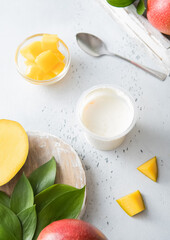 Fresh greek style yogurt with mango pieces and fresh fruits on light kitchen board.
