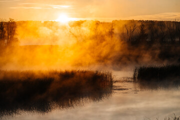 colorful fog over a lake with reeds at dawn