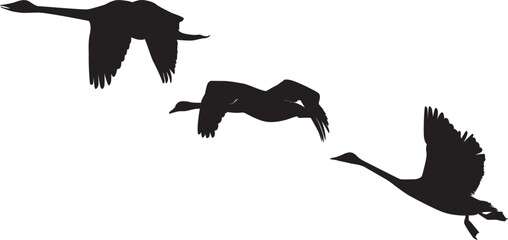 Swan Silhouette Vector Illustration Graphic