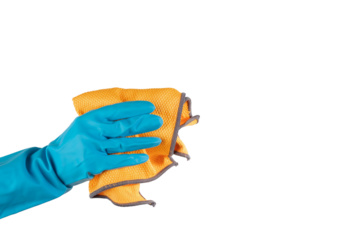 Sanitary cleanup, cleaning rag, hand with glove, professional hygiene service, isolated