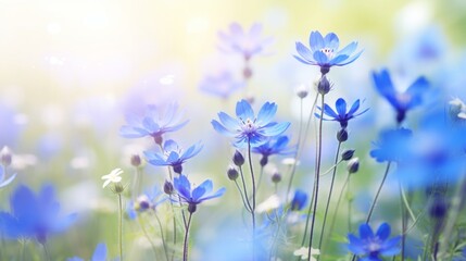 Fototapeta na wymiar Enchanting blue wildflowers: a tranquil outdoor scene with soft focus and bokeh, perfect for a floral summer or spring background