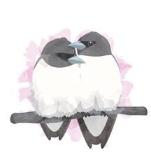 Valentine Bird Lover Woodswallow Watercolor Vector