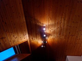 plank ceiling in the attic with spotlights. a sloped ceiling will give the room a lived-in feel. roof windows
