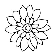 Hand drawn simple flower illustration