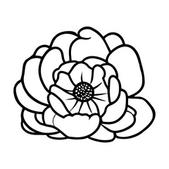 Hand drawn simple flower illustration