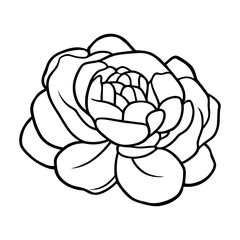 Hand drawn simple flower illustration