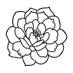 Hand drawn simple flower illustration