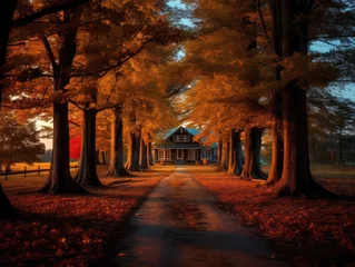 Deurstickers autumn in the park © faiz