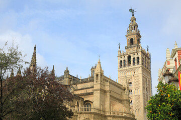 Fototapeta na wymiar sevilla giralda catedral vista desde el barrio de santa cruz 4M0A5326-as24