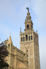 Fototapeta na wymiar sevilla giralda catedral vista desde el barrio de santa cruz 4M0A5324-as24