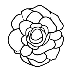 Hand drawn simple flower illustration