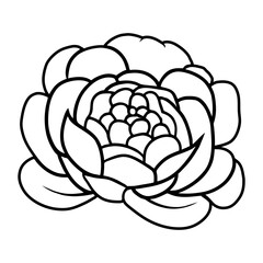 Hand drawn simple flower illustration