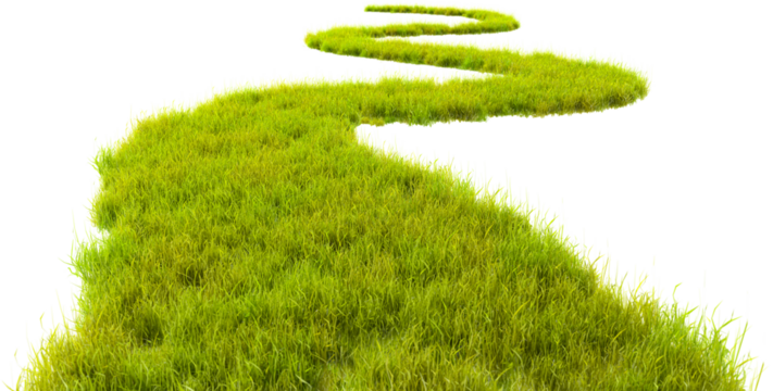 A path made of grass isolated on transparent background. Ecology and sutainability concepts.