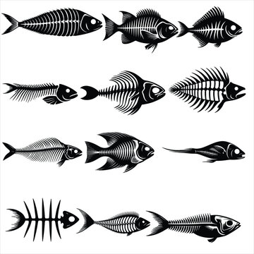 set of fish bone silhouettes , fish bone silhouette in one set ,fish bone silhouette  discount