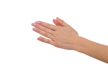 Women's hands clasped together. Isolated on a white background.