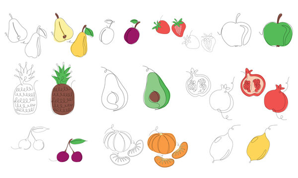 Set of fruits and berries in continuous line art drawing style. Fruits minimalist black linear sketch and colored sketch isolated on white background. Vector illustration