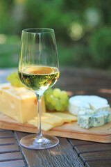 Various sorts of cheese, grapes and white wine