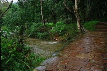 My Son Sanctuary, Ruins from the Champa Empire in Hoi An, Vietnam - ベトナム ミーソン遺跡