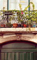 Balcony with flowers on the street of Lisbon