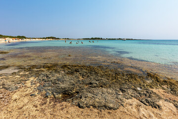 Spiaggia palude del Conte vicino a Punta Prosciutto a Torre Colimena Taranto