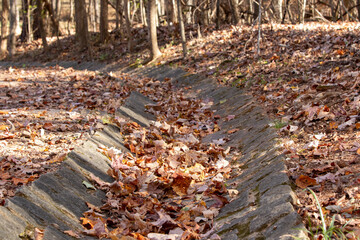 Forest drainage gutter blocked by leaf