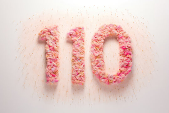 The Number 110