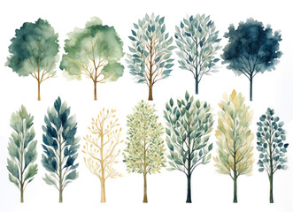 Tree images, two-dimensional png files, decorate garden plans.