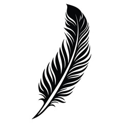 Obraz premium Black fluffy feather. Hand drawing vintage art realistic quill feathers for pen detailed isolated vector elegant silhouette sketch bird plume set