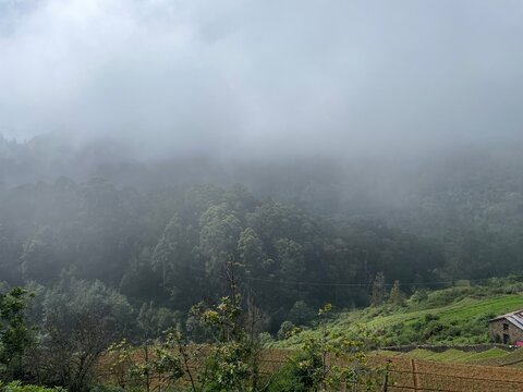 misty morning in the mountains
