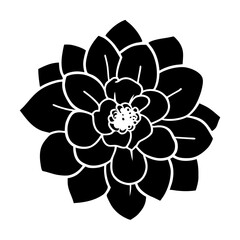 Hand drawn simple flower illustration