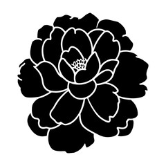 Hand drawn simple flower illustration