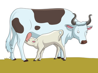Cute calf and cow illustration