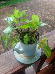 Decorative item handmade by Brazilian artisans