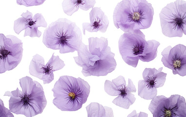 Genuine Picture Illustrating the Allure of Lavender Canterbury Bell Petals on White Isolated on Transparent Background PNG.