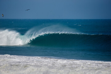 Cabo Blanco and Panic Point provides surfers with consistent and quality waves, making it a popular spot for surfers looking to catch some of the best breaks in the country