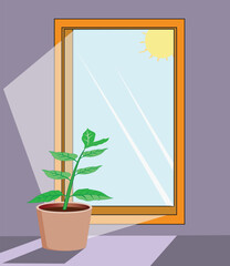 Glass mirror with potted plant in front and reflection of sun on it