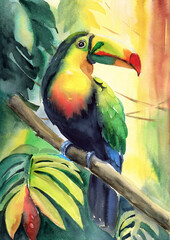 Watercolor illustration of a beautiful toucan with a colorful red-orange large beak and black feathers (This illustration was drawn by hand without the use of generative AI!)