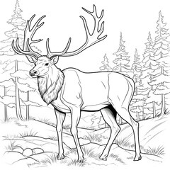 Deer in the forest Black and white illustration for coloring book