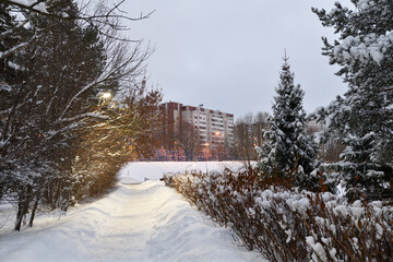 Snow-covered alley in a winter park in Moscow, Russia