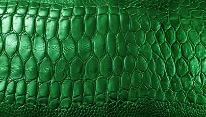 Fotobehang texture of luxury green crocodile leather dragon skin background © Debbie