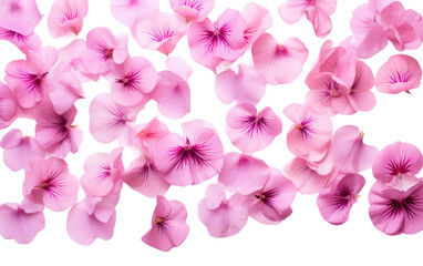 Genuine Snapshot of Pink Petals in a Pyramid Formation Isolated on Transparent Background.