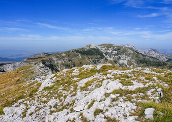 Sutjeska-Nationalpark in Bosnien-Herzegowina der letzte Urwald Europas