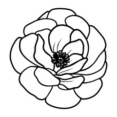 Hand drawn simple flower illustration