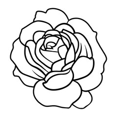 Hand drawn simple flower illustration