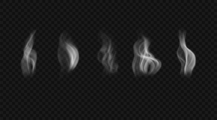 Set of wavy smoke from incense, hookah or cigarettes. Vector design elements. White fluid steam, fog, haze 
